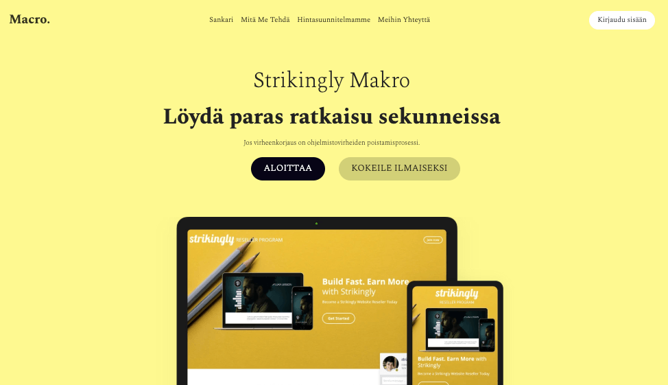 Makroliiketoiminnan mallipohja Strikinglyltä