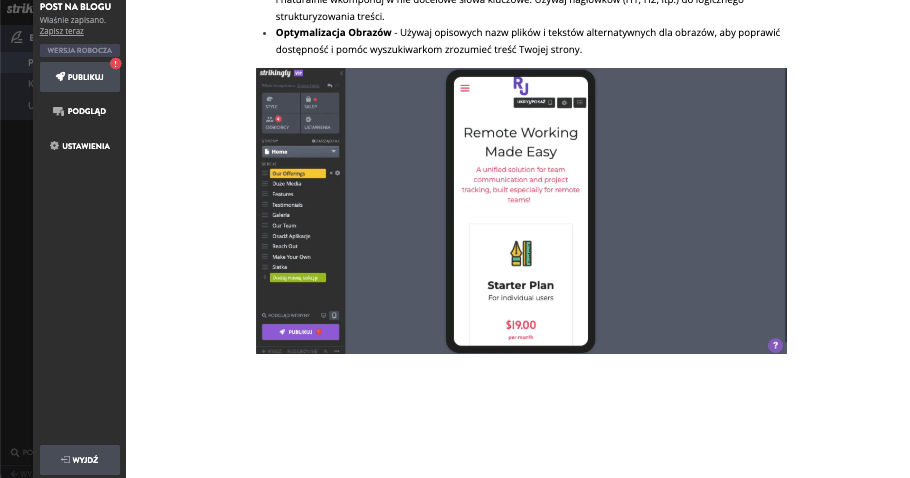 Maksymalizacja SEO dla rozszerzenia linii produktów – Strikingly – optymalizacja obrazów