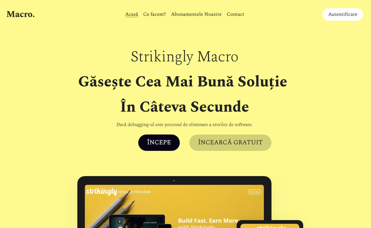 Șablon Macro de la Strikingly