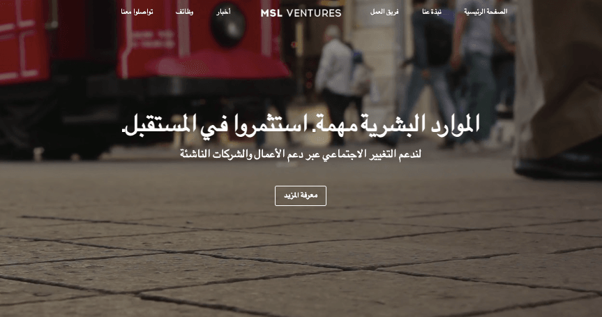 قالب MSL Ventures من Strikingly