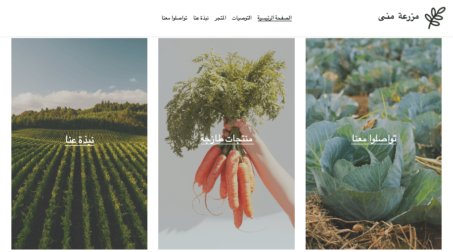 قالب متجر ويندي على الإنترنت