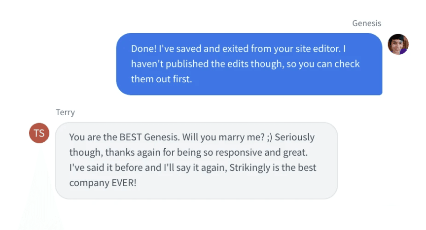 Strikingly Live Chat