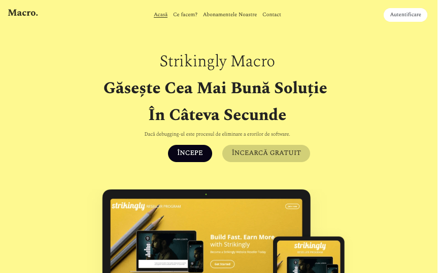 Șablon Macro de la Strikingly