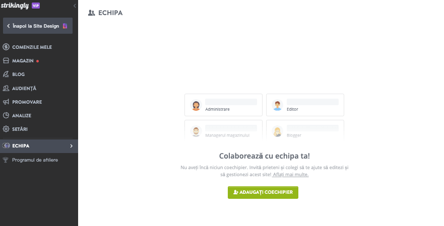 Caracteristica echipei Strikingly