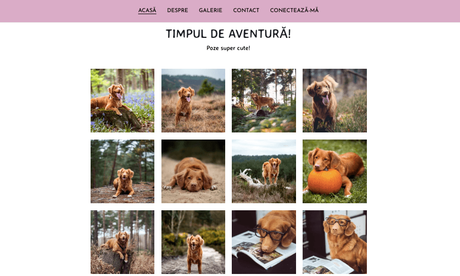 Șablon Buddy de la Strikingly