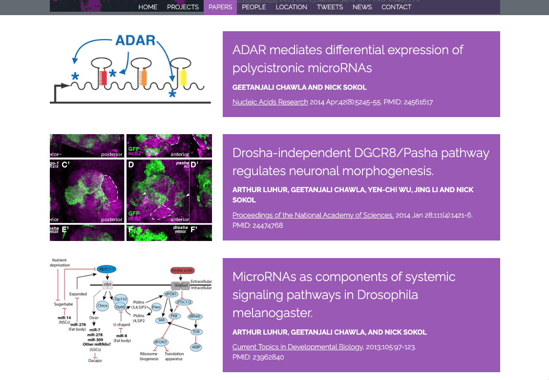 Usprawnianie Procesu Raportowania