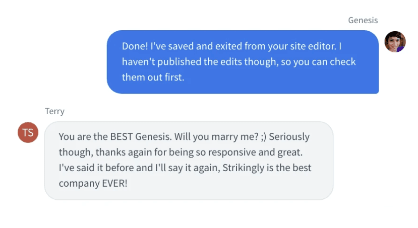 دعم الدردشة في Strikingly