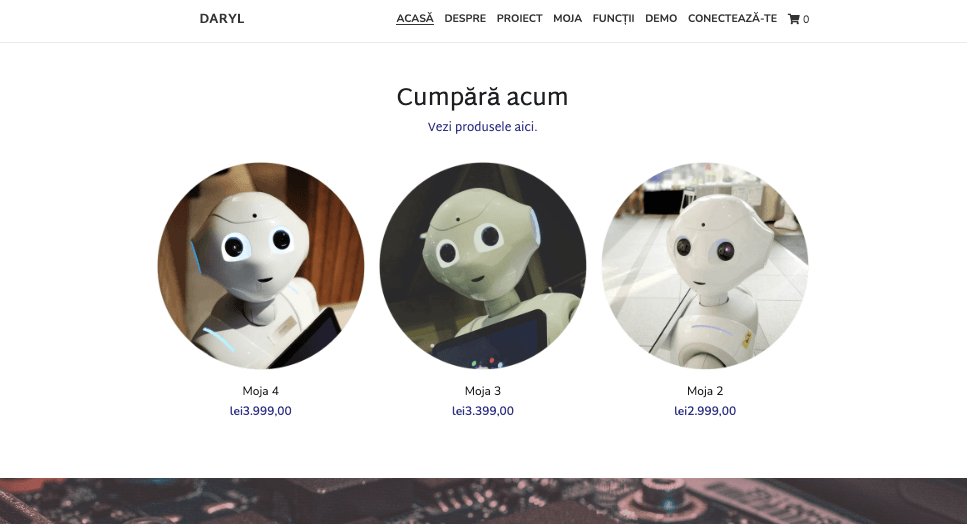 Șablonul Daryl de la Strikingly