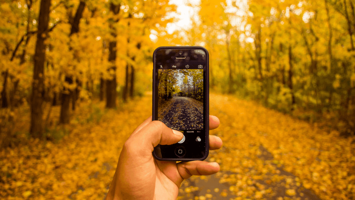 Tips för nybörjare
