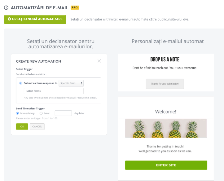 Strikingly Automatizare e-mail funcționalitate
