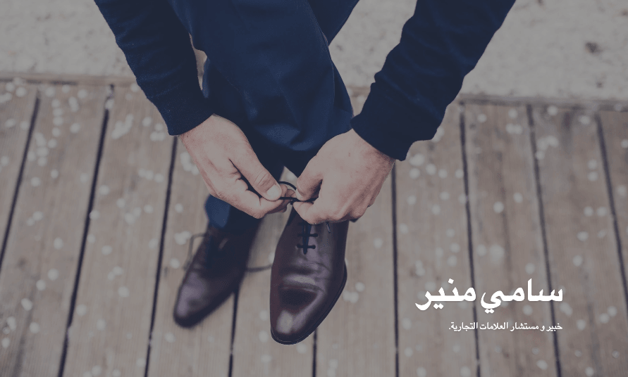 قالب النظرة العامة من Strikingly