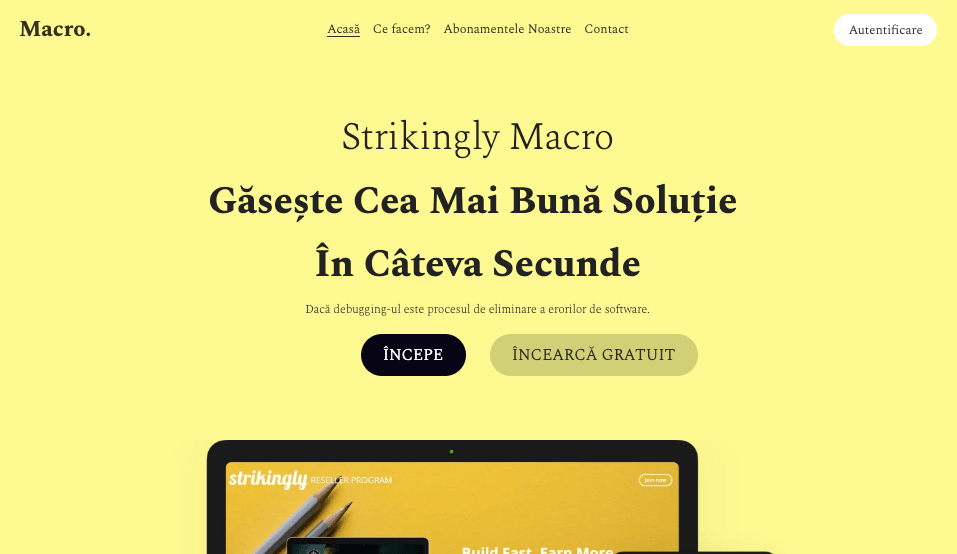 Șablon Macro de la Strikingly