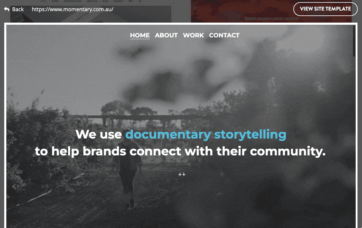 امتدادات النطاق الخاصة بالبلدان