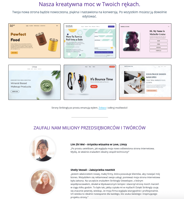 Profesjonalne Szablony Stron Internetowych