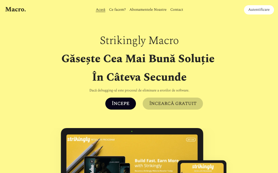 Șablon Macro Business de la Strikingly