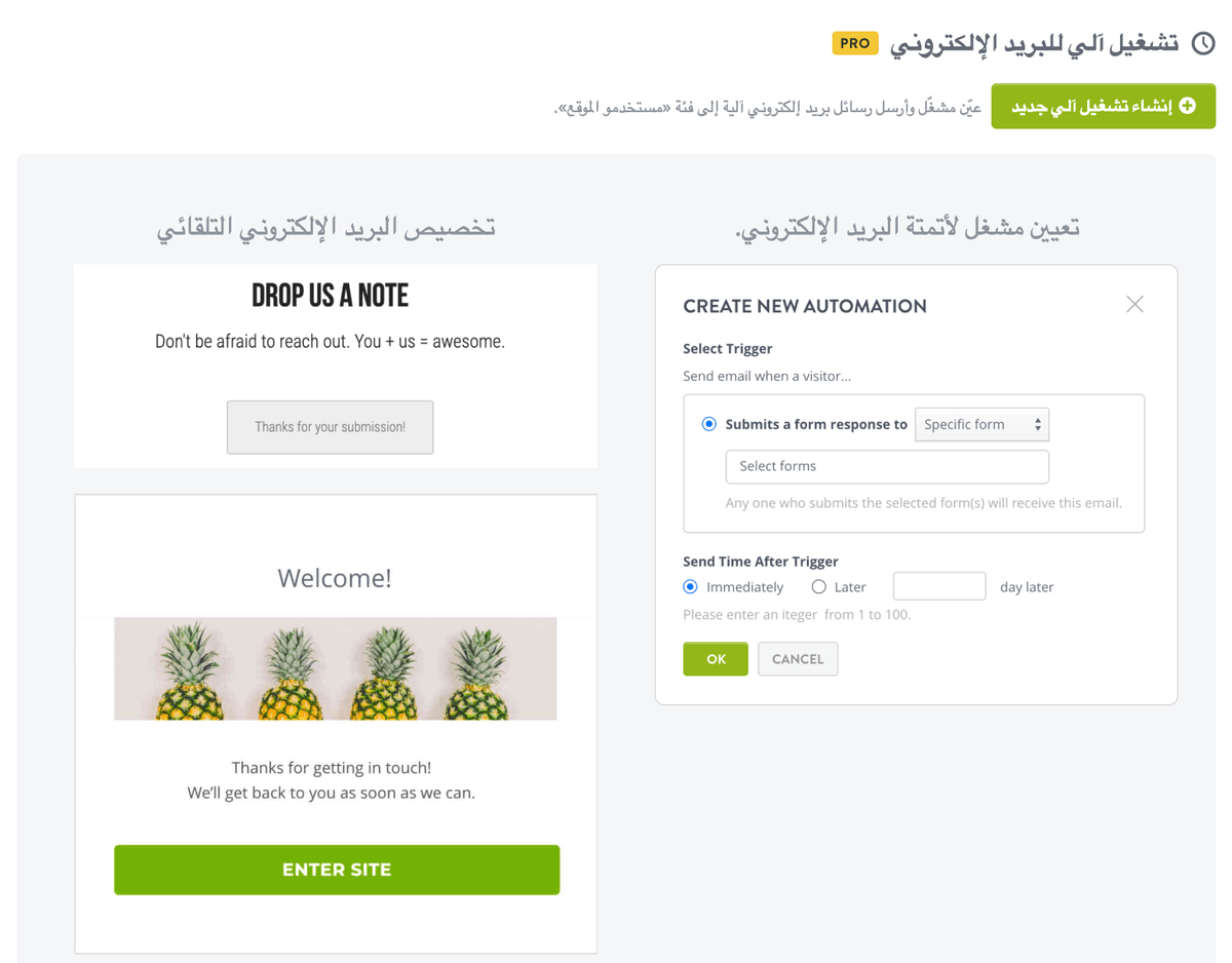 ميزة مراجعة المنتجات من Strikingly