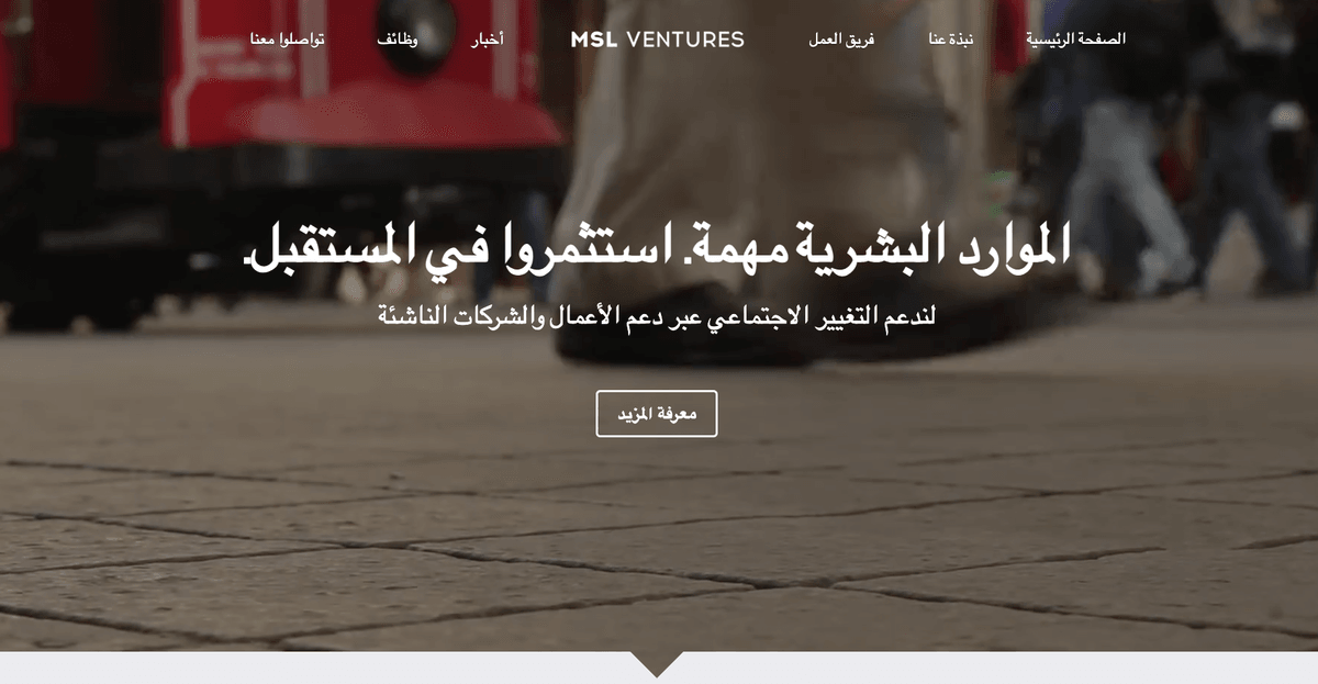 قالب MSL Ventures من Strikingly