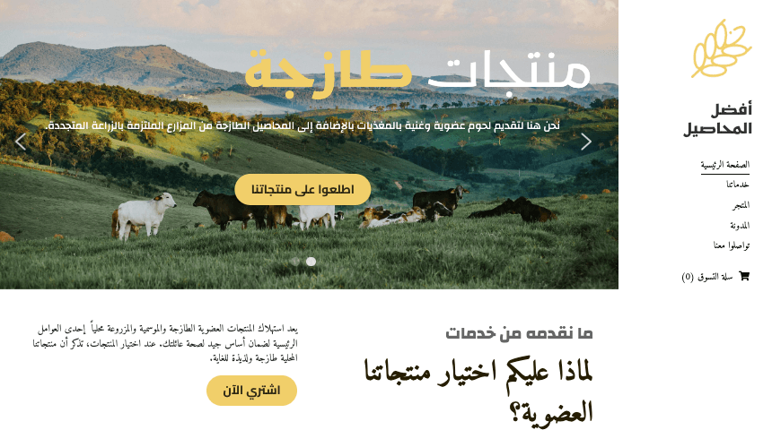 قالب الطازج الأفضل: فكرة عمل طعام إلكتروني