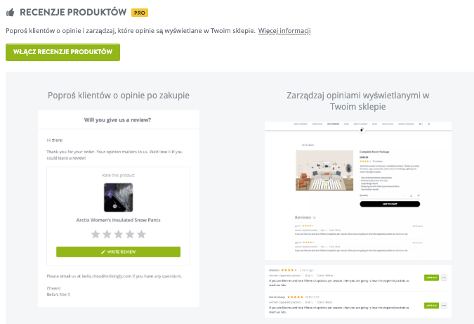 Funkcja Oceny i Recenzji Sklepu Strikingly