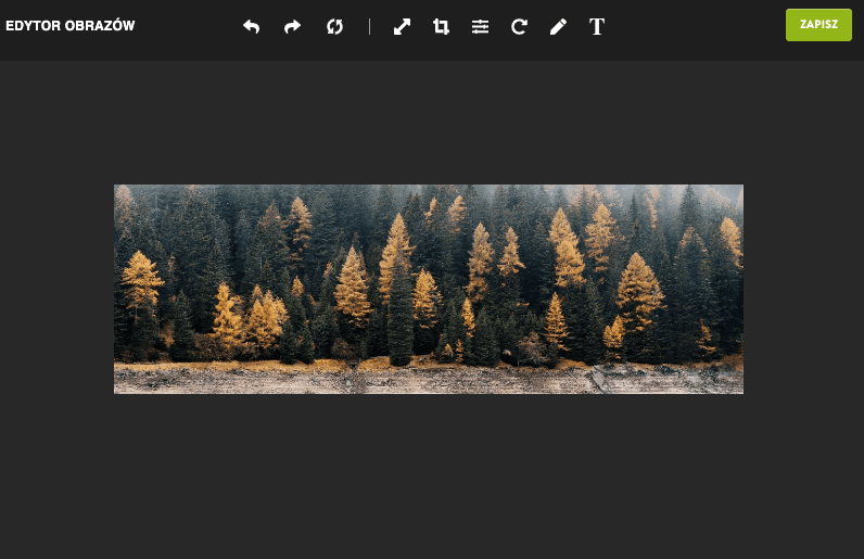 Edytor zdjęć Strikingly