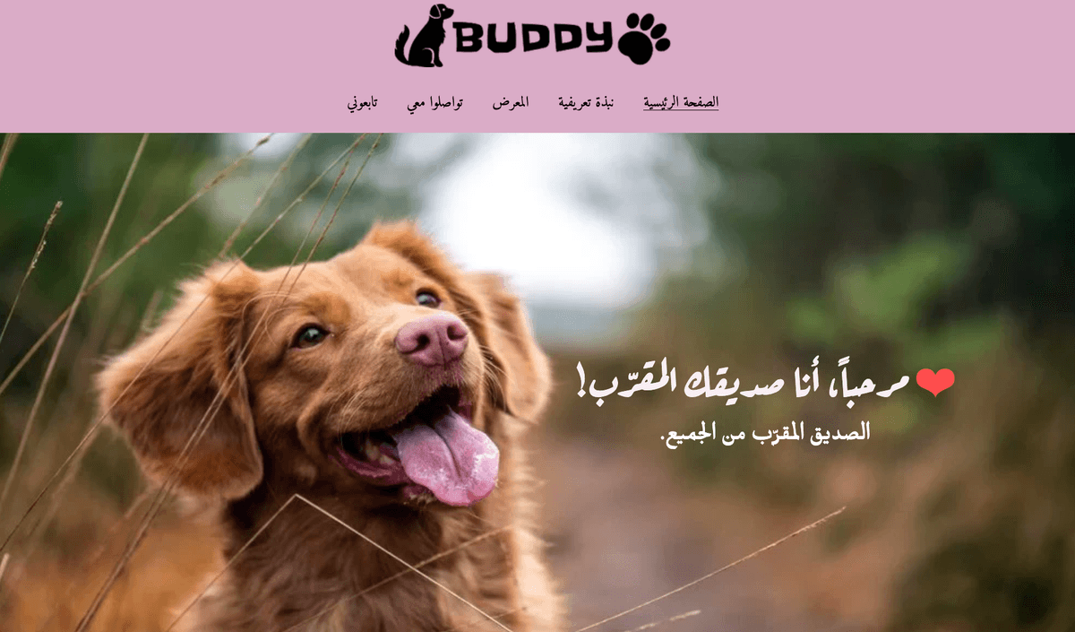 قالب Buddy من Strikingly