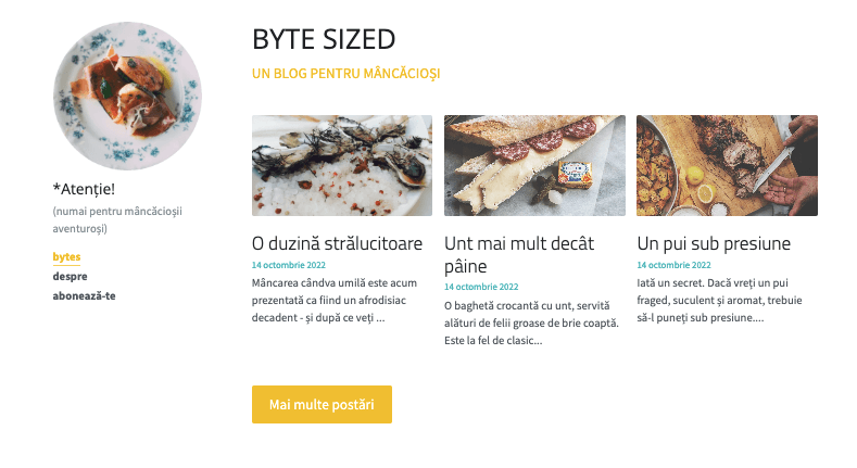 Dimensiune mică Blog Șablon de la Strikingly