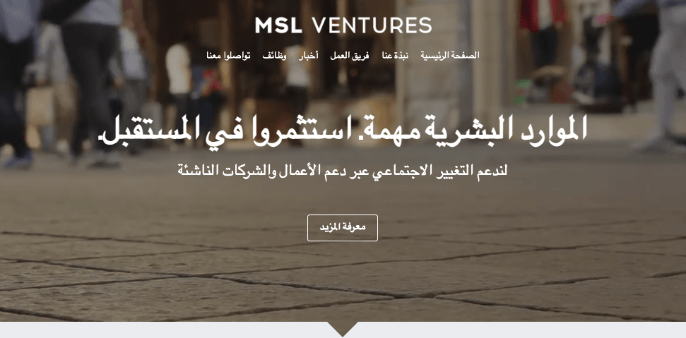 نموذج MSL Ventures من Strikingly