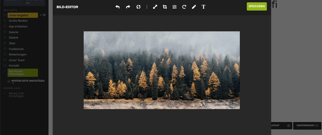 Wie fügt man Vektorgrafiken zu einer Strikingly-Website hinzu – Anpassung