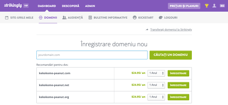 Ce este designul web pe Strikingly - Domeniu personalizat