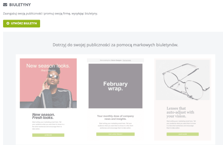 Funkcja Newslettera Strikingly