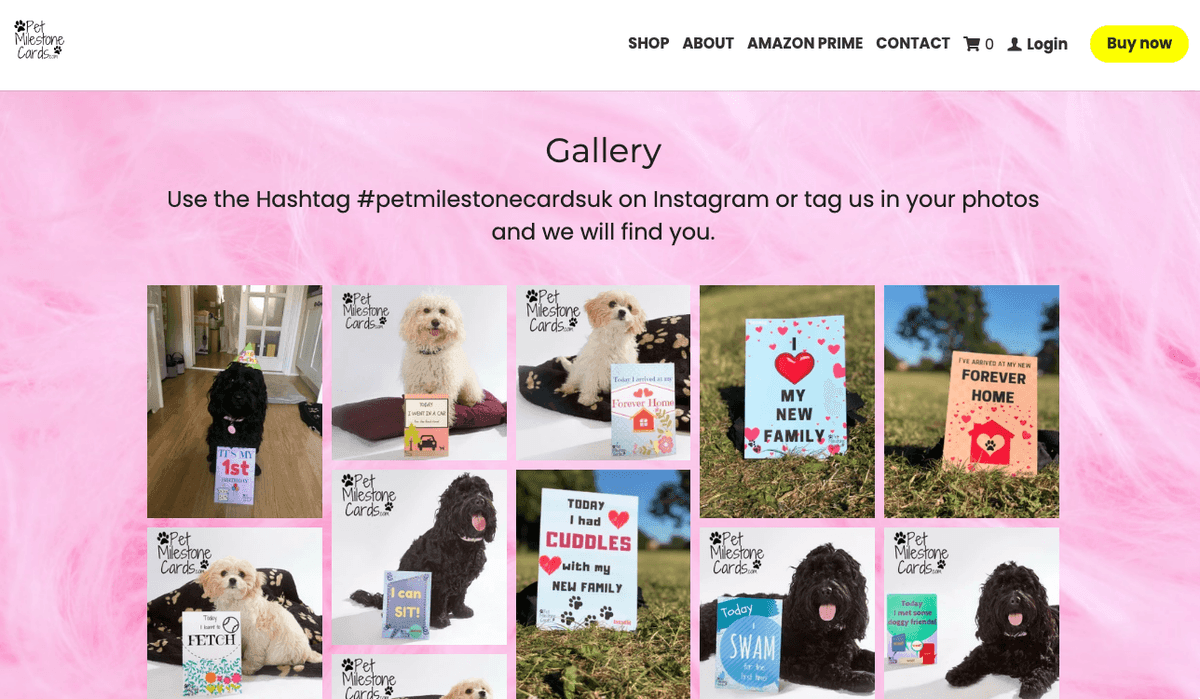 Jak korzystać z Instagrama dla Biznesu: Publikowanie angażujących treści