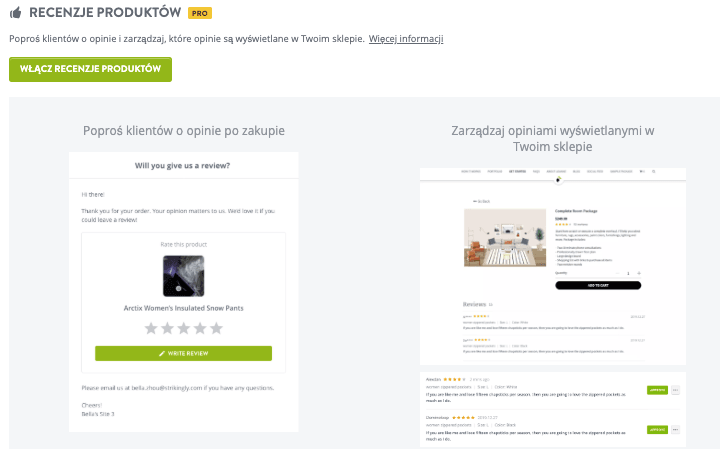 Strikingly Recenzja Produktu Funkcja