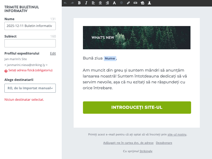 Șablon de newsletter Strikingly