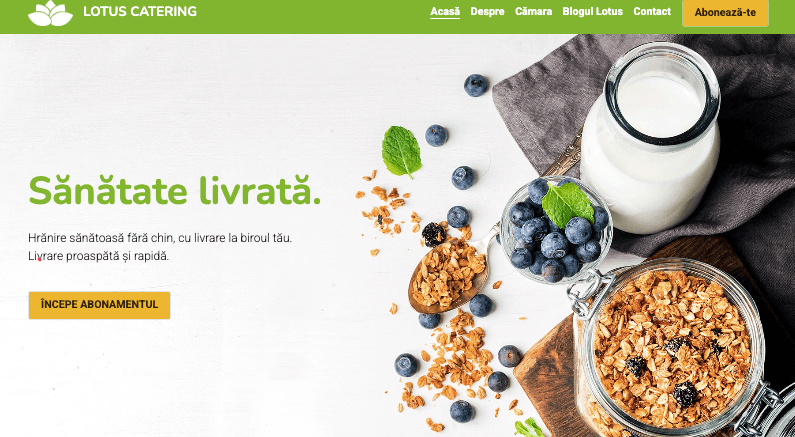 Șablon Lotus cu cta