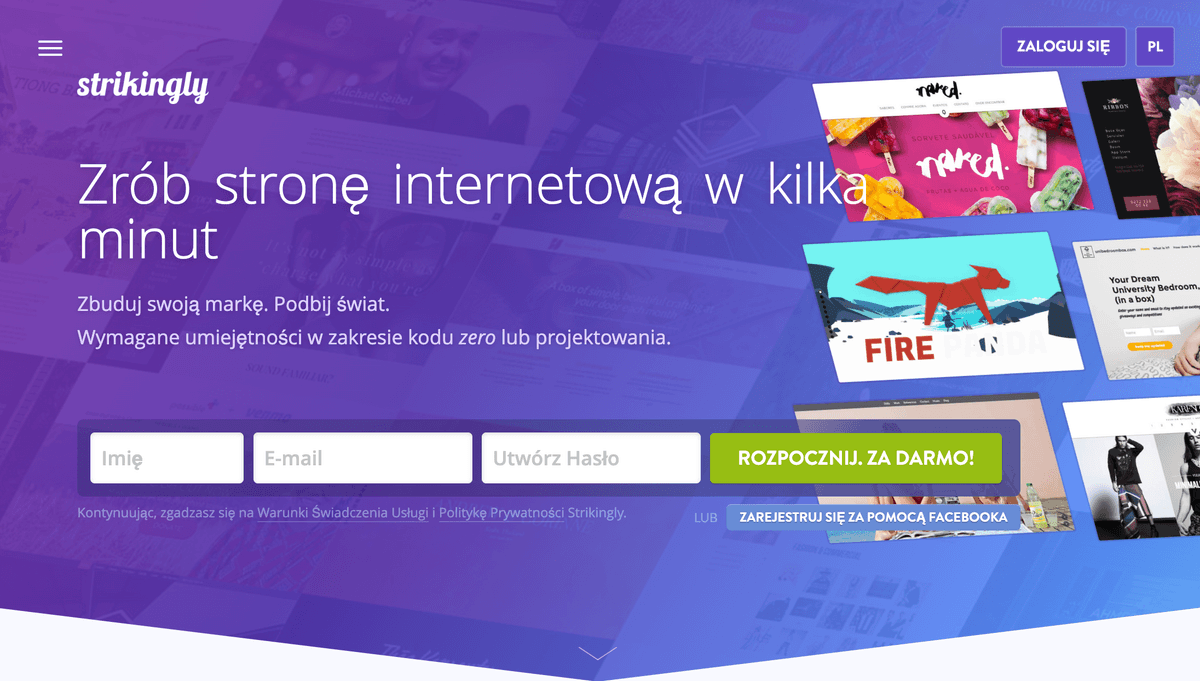 Strikingly: Idealny partner dla Twojej strategii strony TikTok