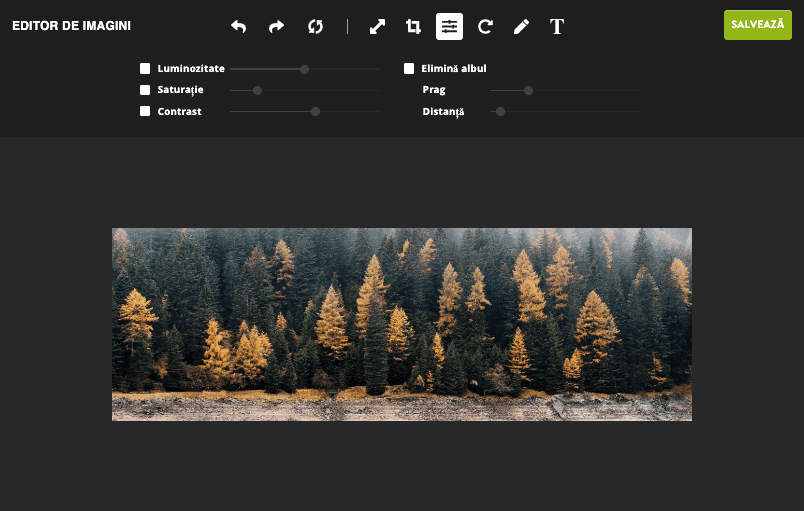 Editorul de imagini Strikingly