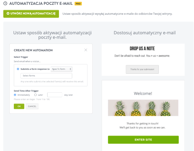 Strikingly Automatyzacja Poczty E-mail