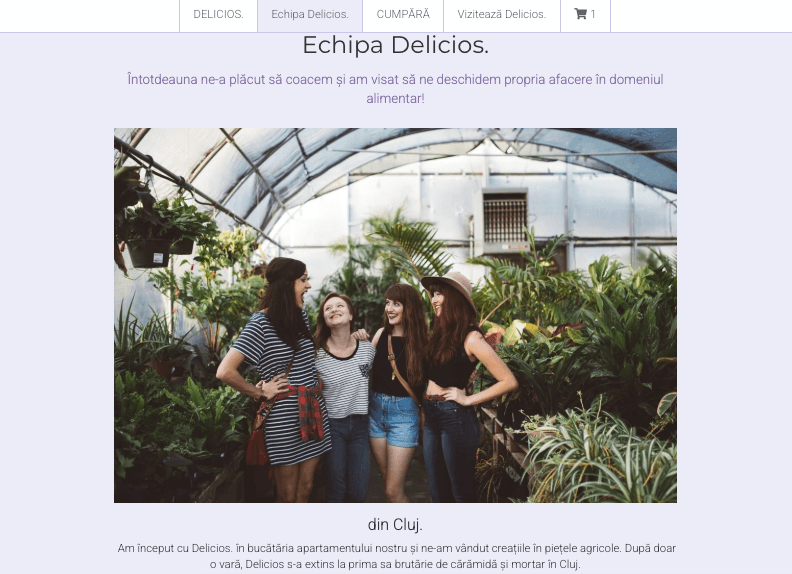 Șablon minimal de magazin