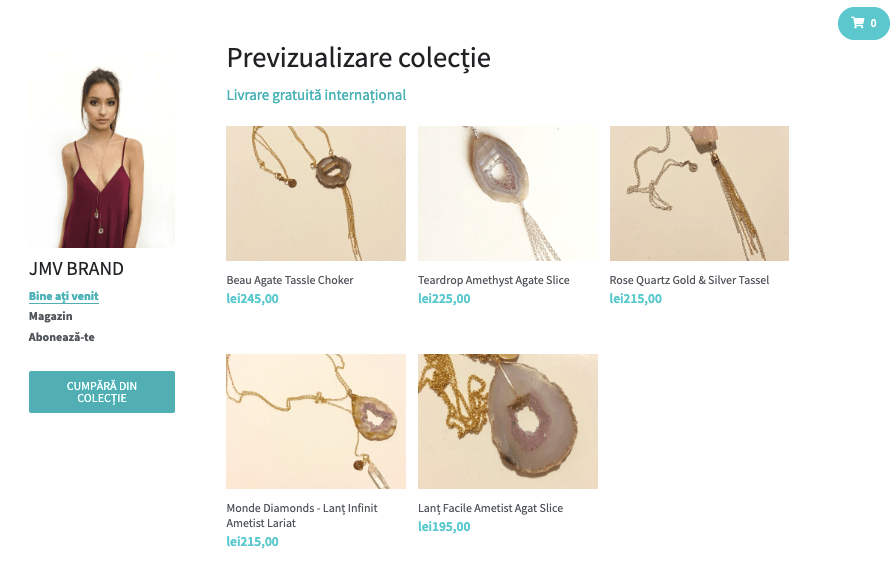 Șablon de magazin curat