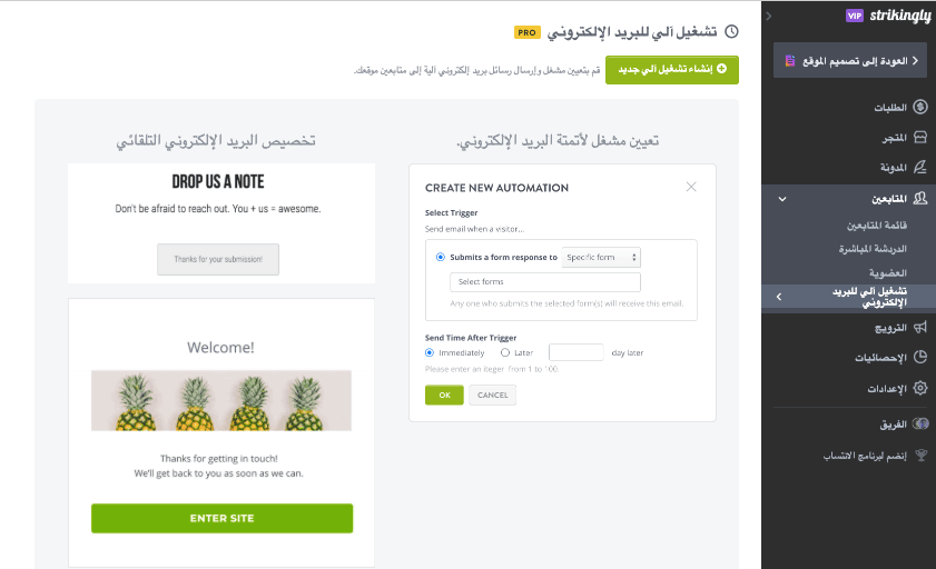 استخدام أداة الرد التلقائي للبريد الإلكتروني مع Strikingly - إنشاء حملة رد تلقائي