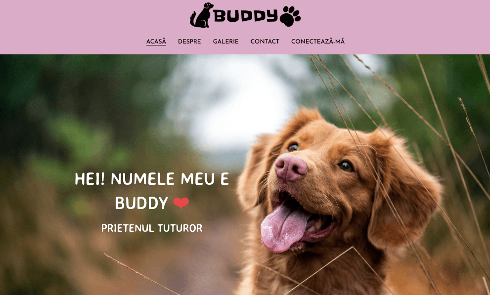 Construirea loialității clienților și a repetării afacerilor