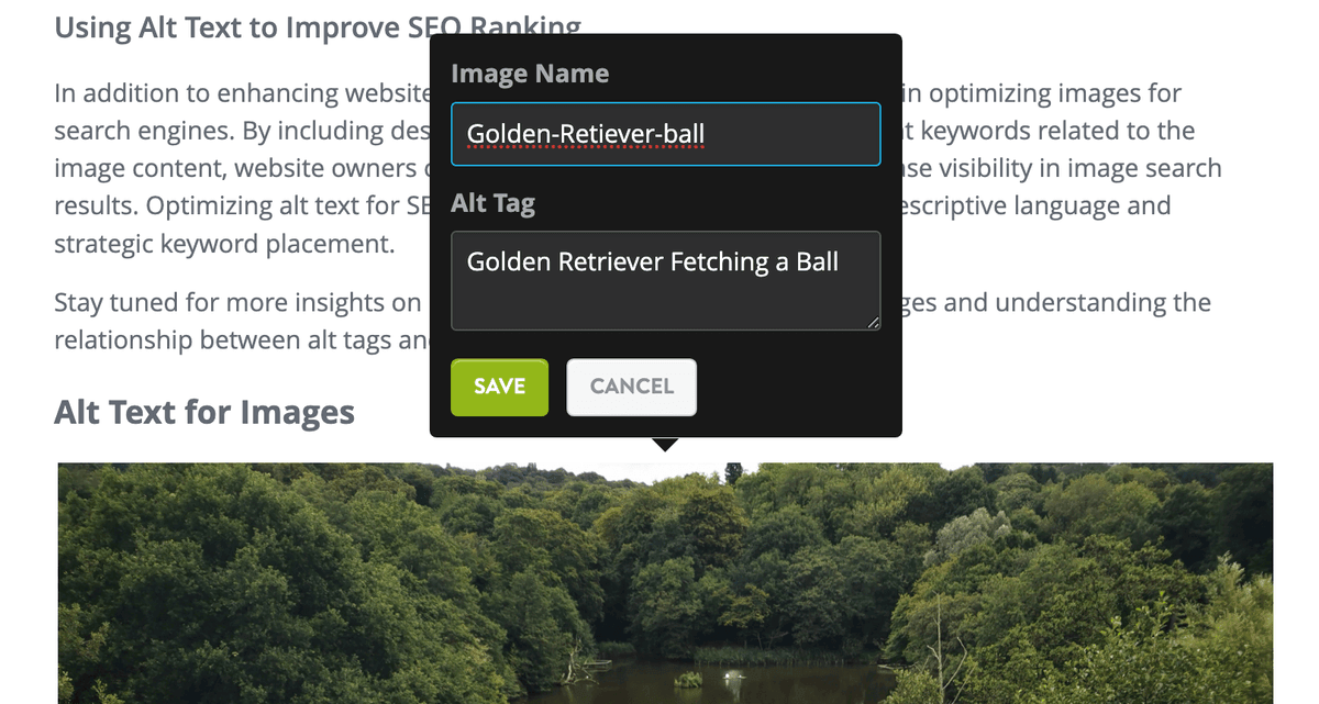 Text alternativ pentru imagini