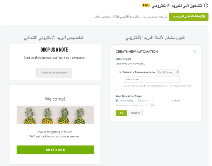ميزة البريد الإلكتروني التلقائي من Strikingly