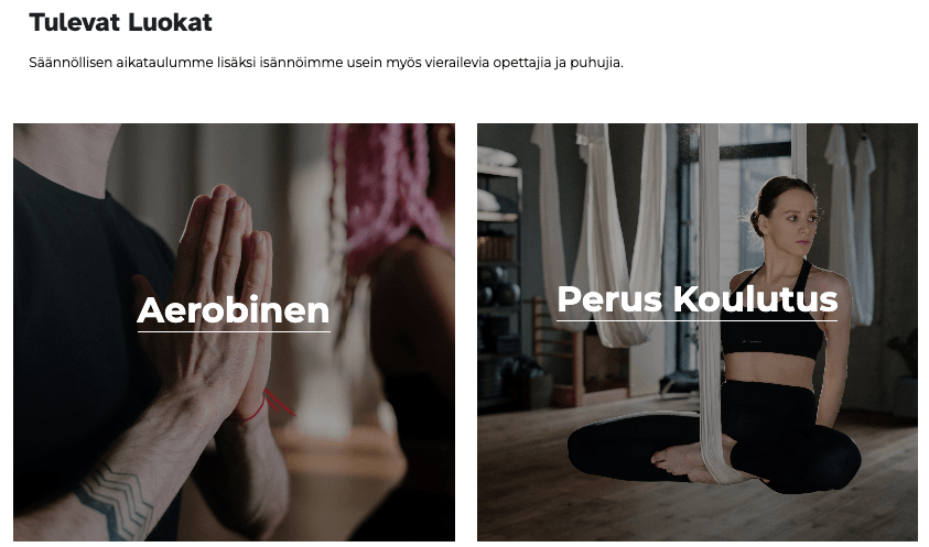 Joogamalli Strikinglyltä