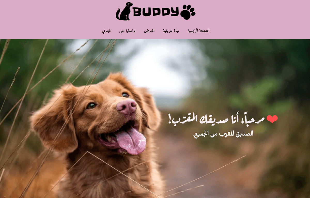 قالب Buddy من Strikingly