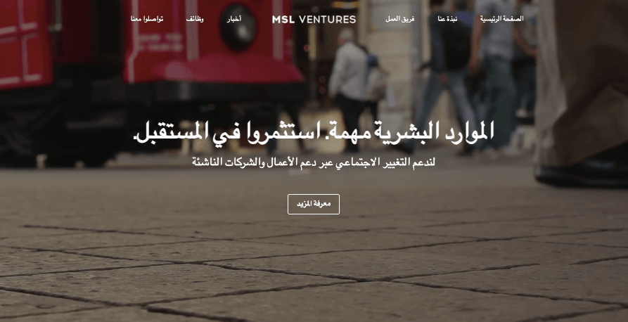 قالب MSL Ventures من Strikingly