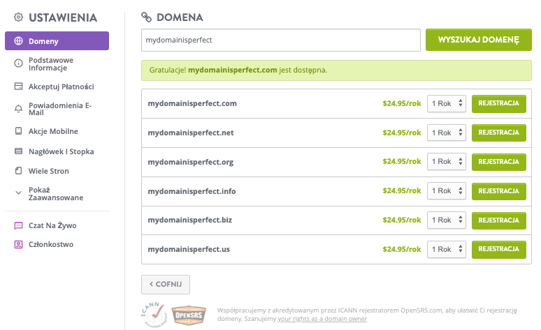 Domeny Niestandardowe od Strikingly