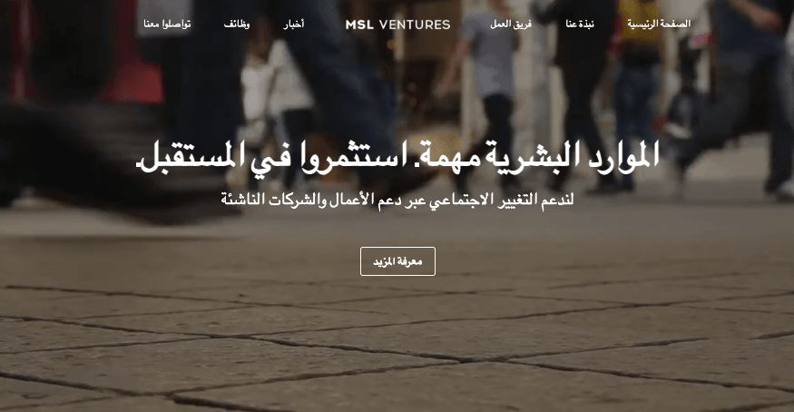 قوالب MSL Ventures لـ Strikingly