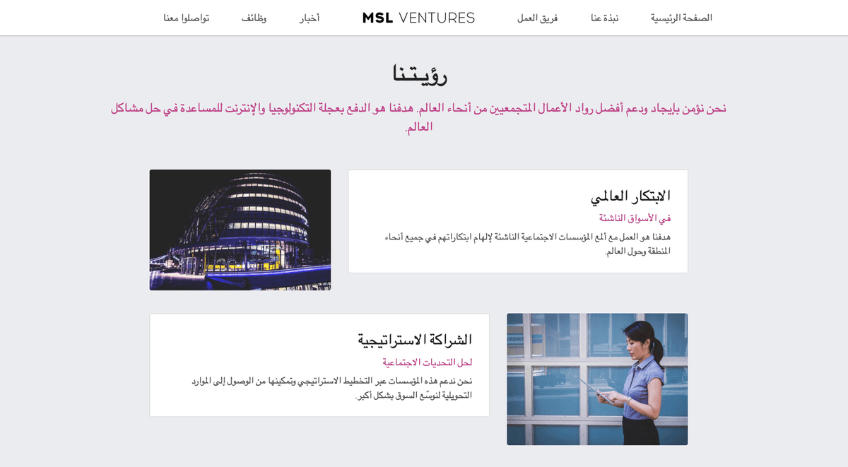 قالب MSL Ventures من Strikingly