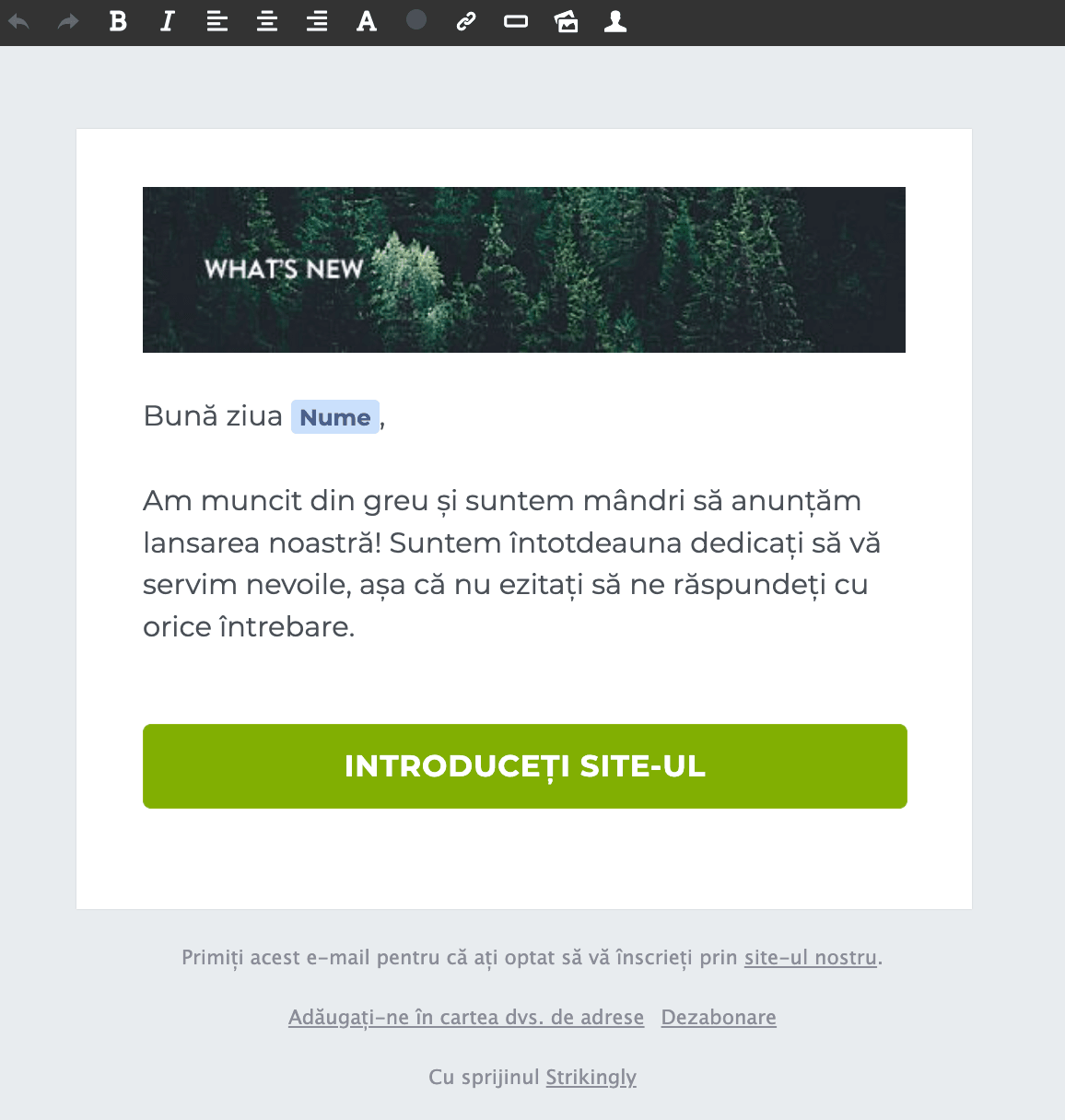 Strikingly buletin informativ editor